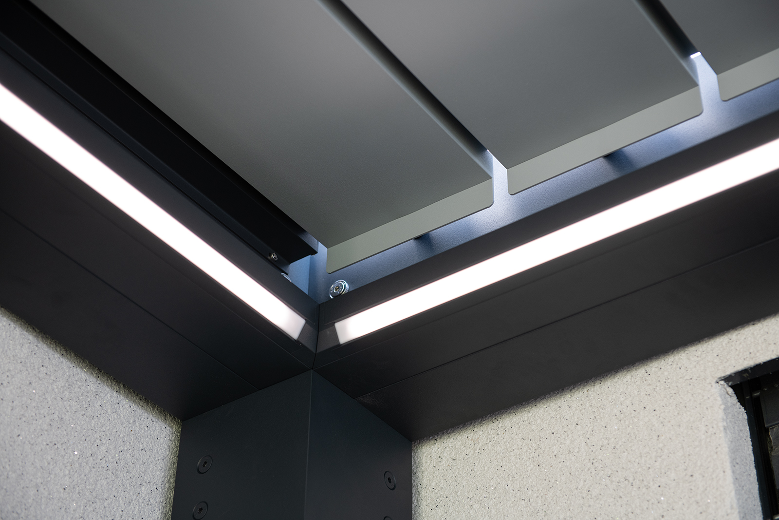 lamelino-2024-09-crvision-m-10
